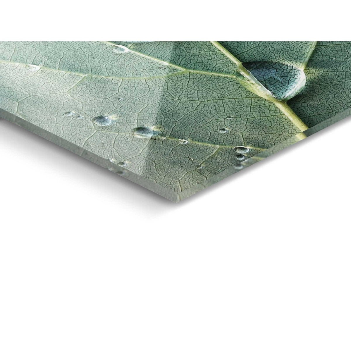 Glasschilderij Dauwdruppels 30x30 - Reinders