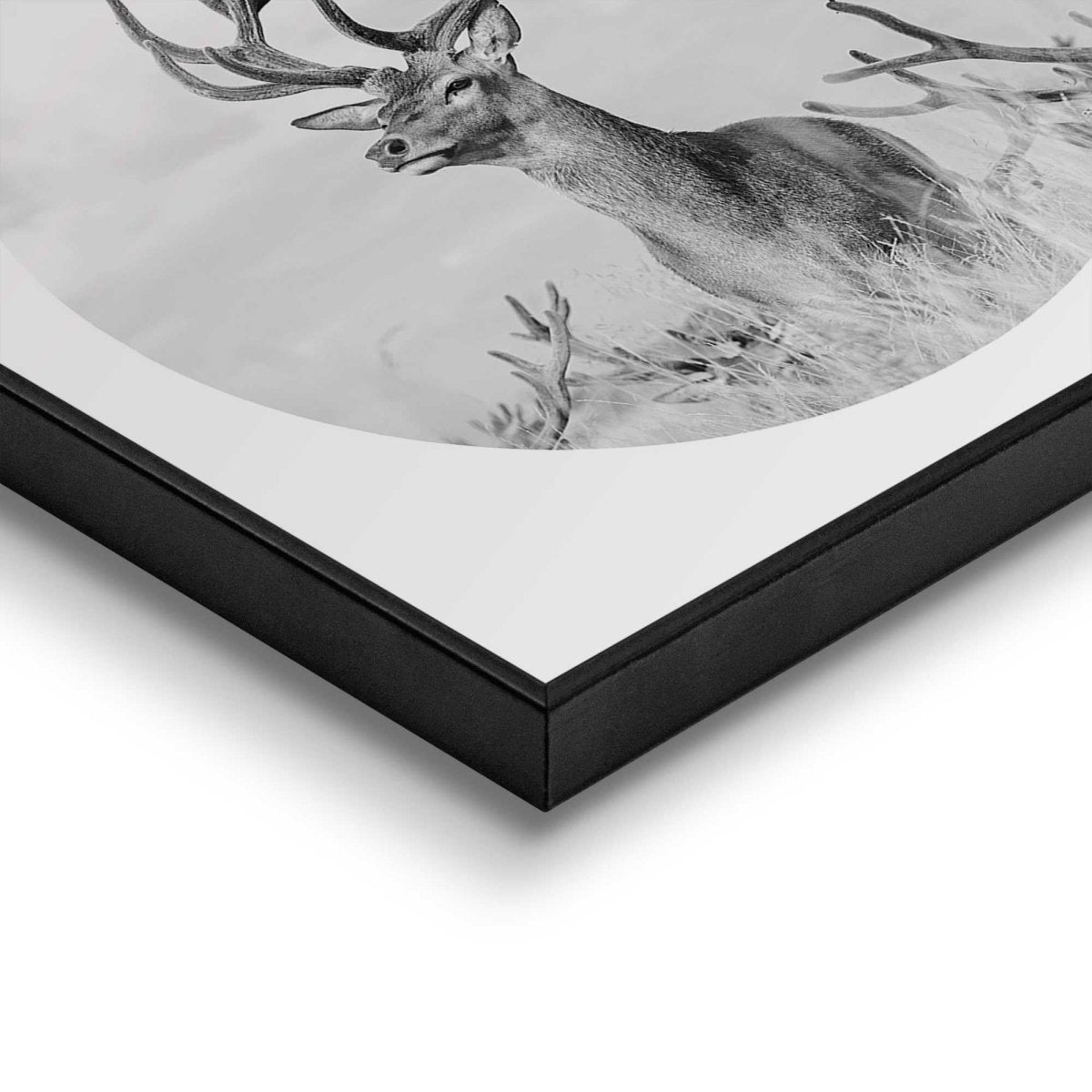 Schilderij Trots hert 50x50 - Reinders