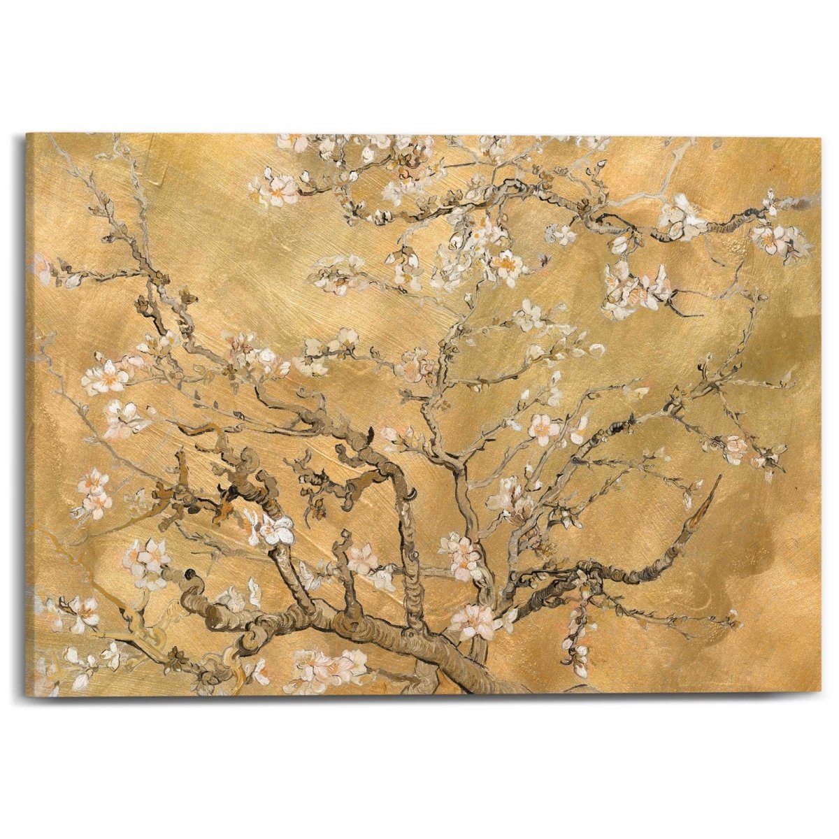 Schilderij Van Gogh - almondblossom 50x70 - Reinders