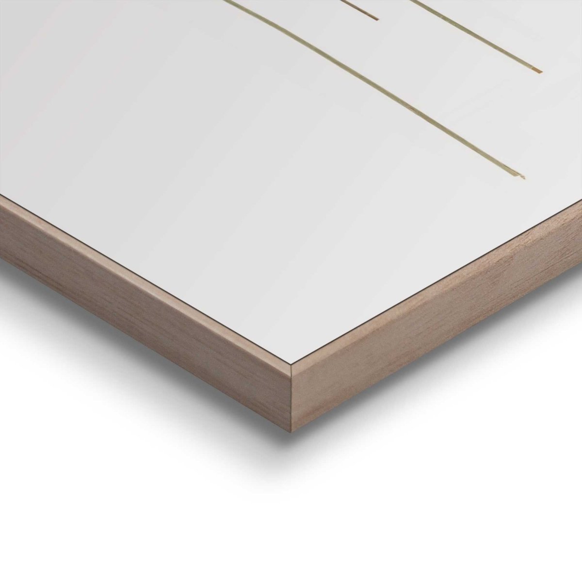 Schilderijen set Gedroogde bloemen - Reinders