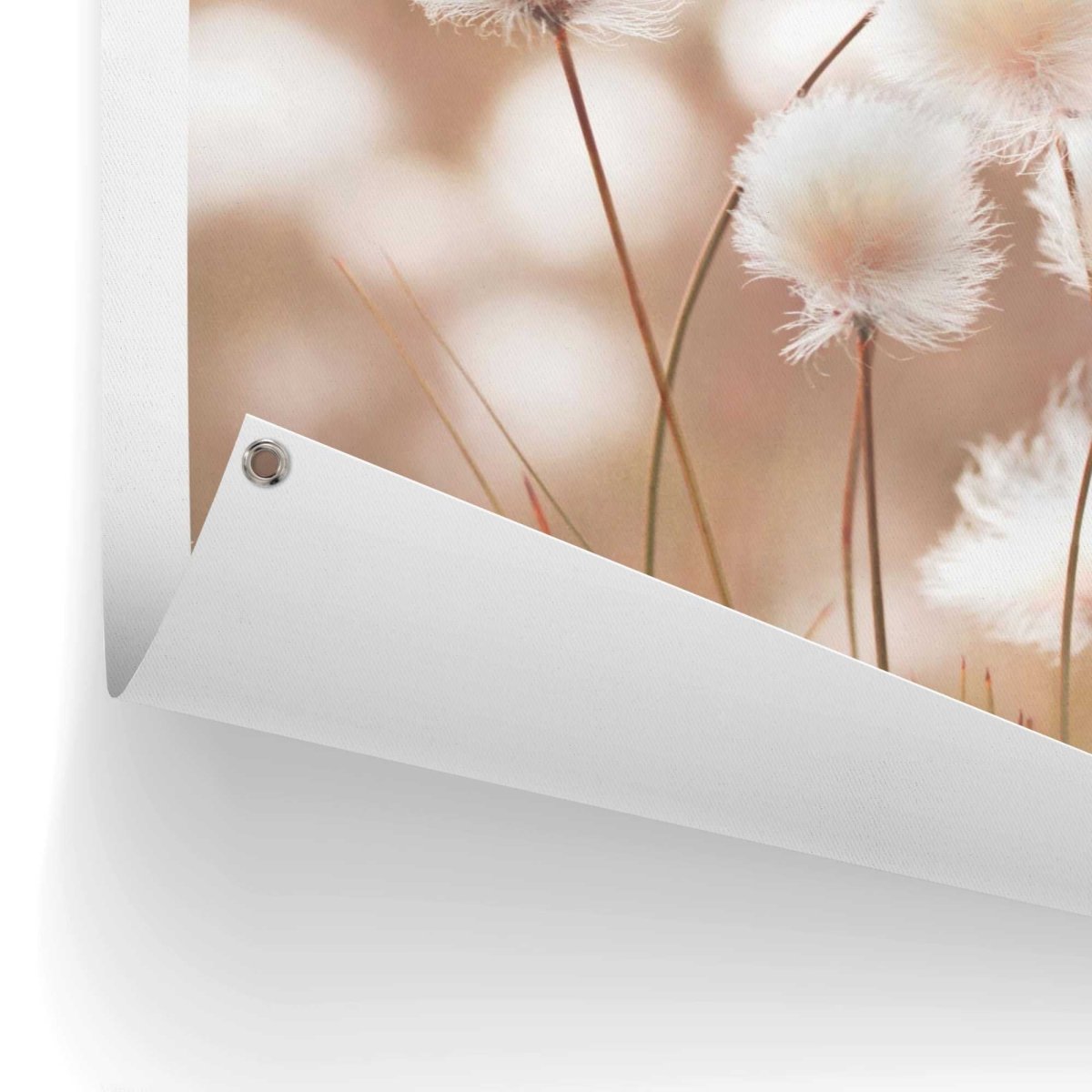 Tuinposter Cotton Field 80x60 - Reinders