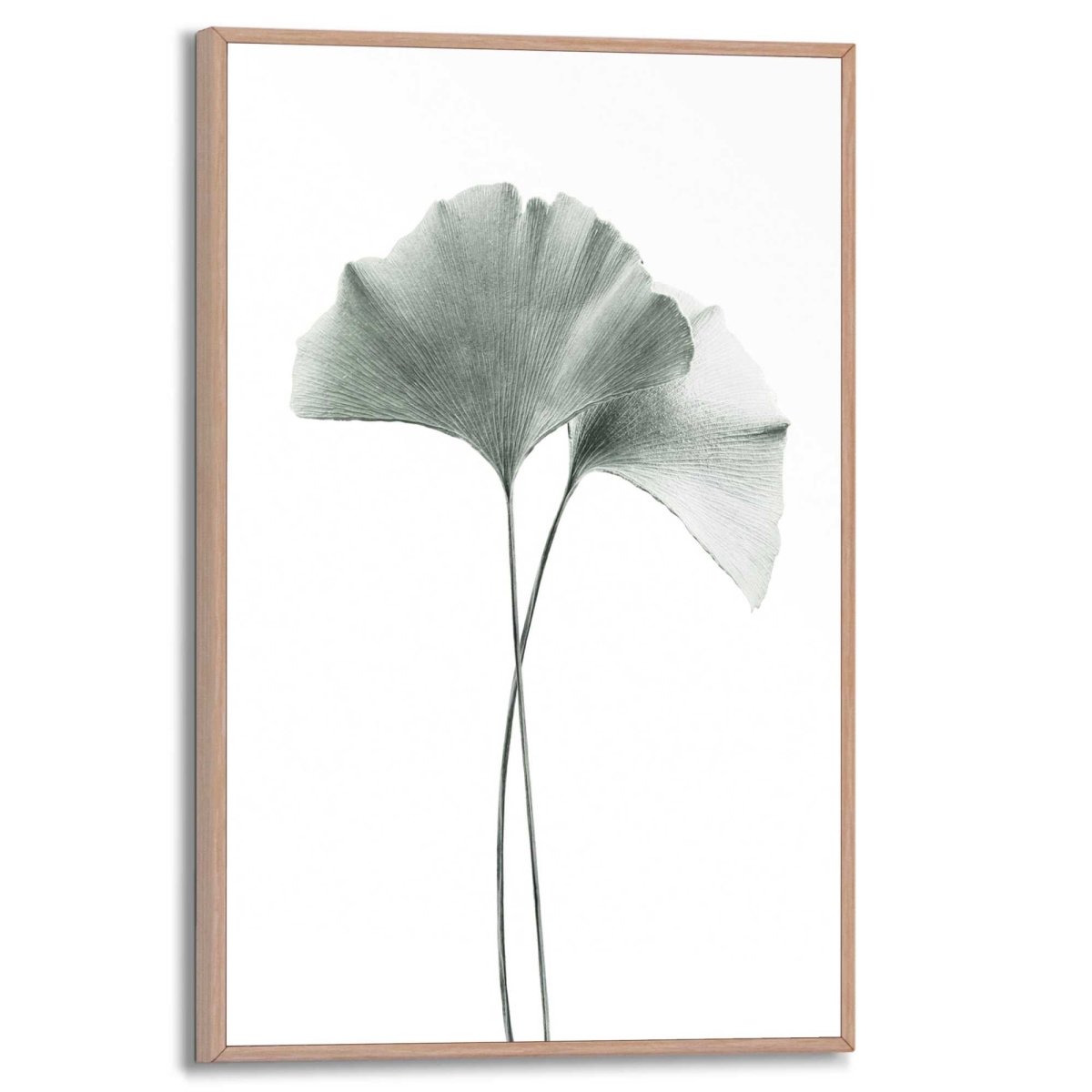 Schilderij Ginkgo Blad 30x20 - Reinders