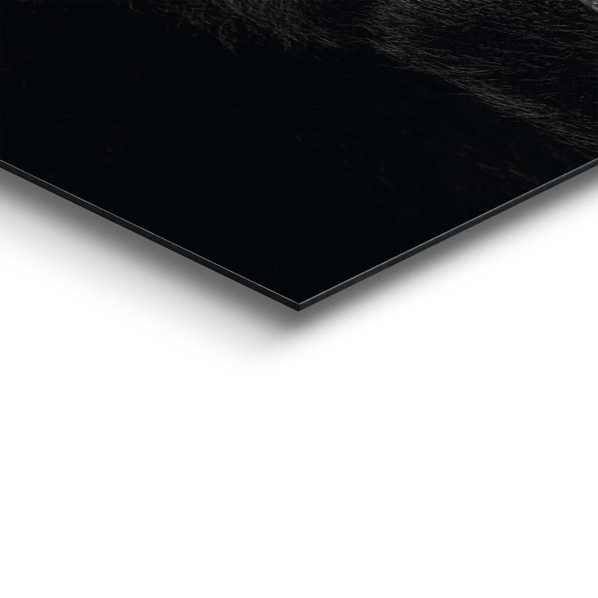 Schilderij Gorilla 40x50 - Reinders