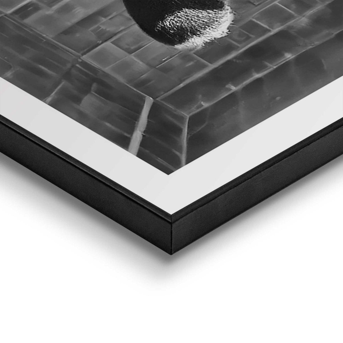 Schilderij Highlander Toilet 70x50 - Reinders