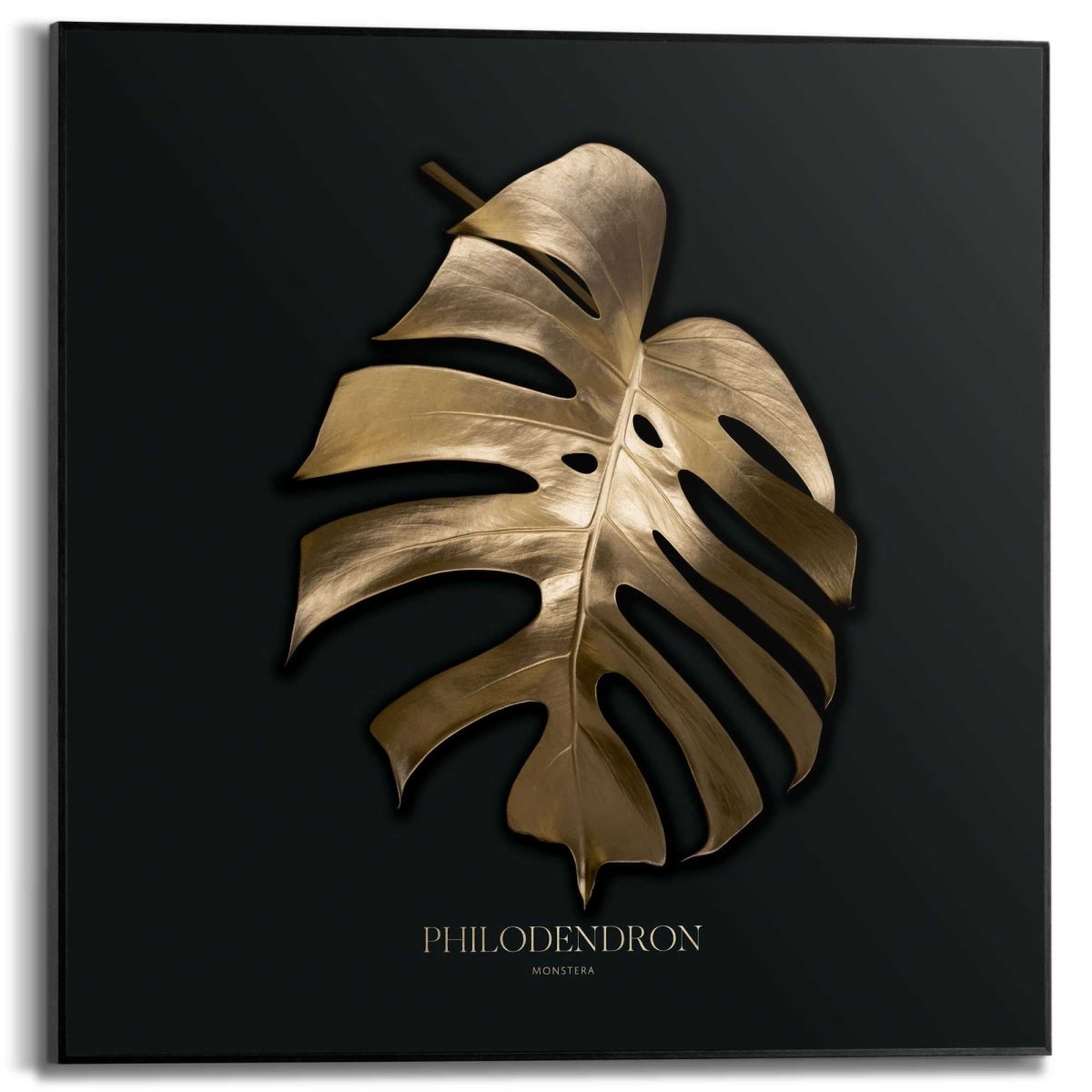 Gerahmtes Bild Monstera Blatt 50x50