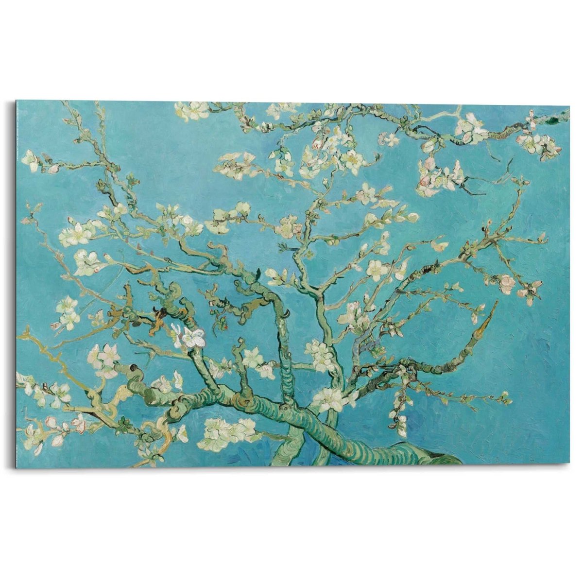 Schilderij Van Gogh Amandelbloesem 60x90 - Reinders