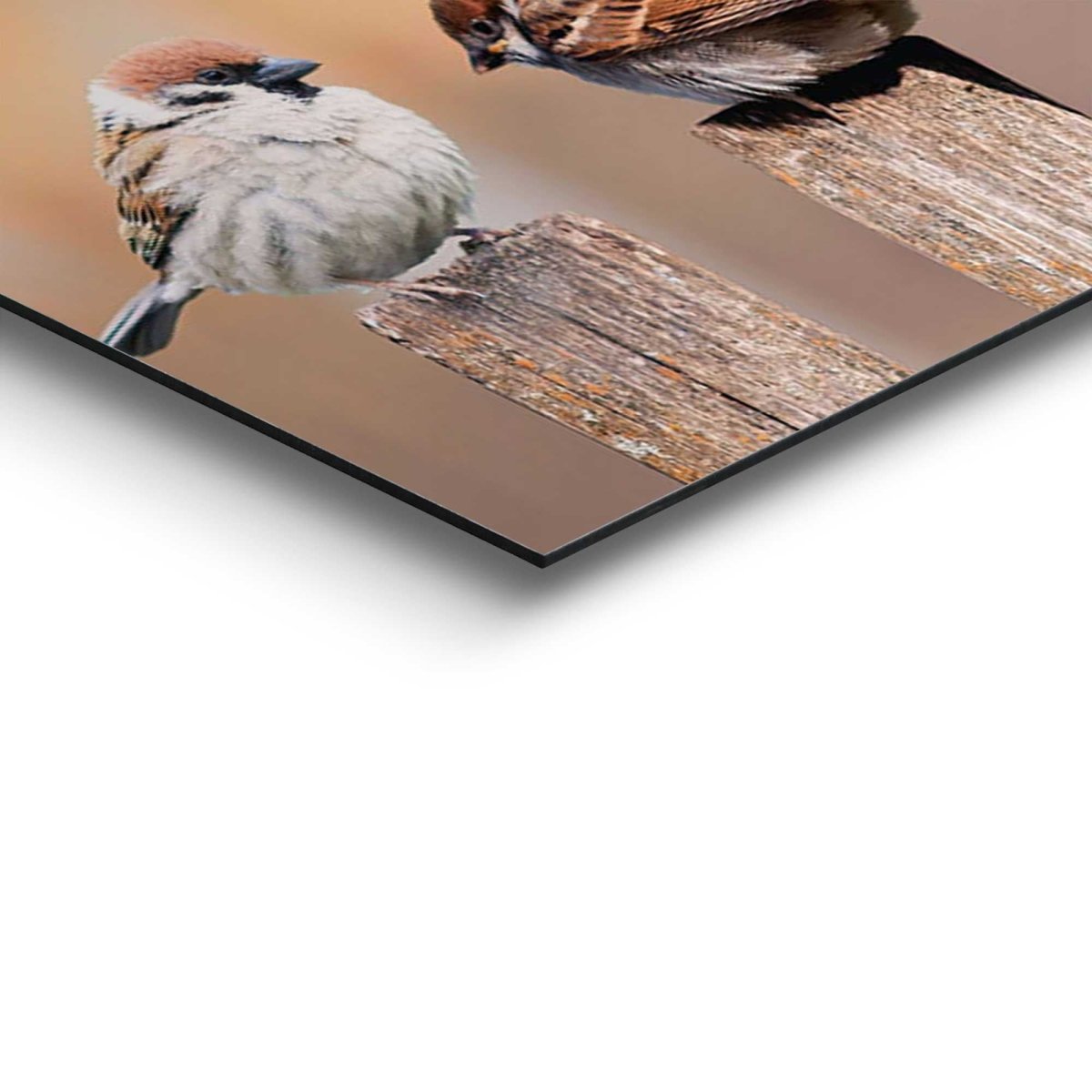 Schilderij Vogels 30x90 - Reinders