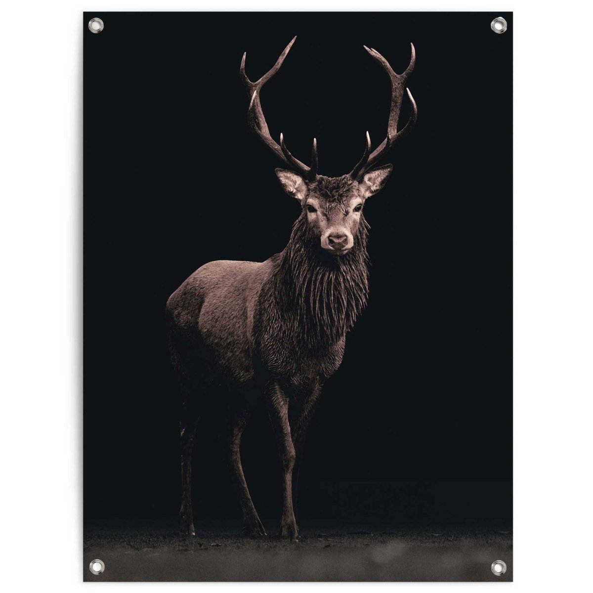 Tuinposter Hert 80x60 - Reinders