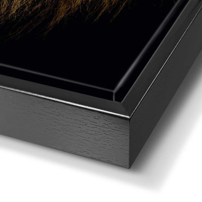 Art Frame Leeuw 70x118 - Art Frame - Reinders