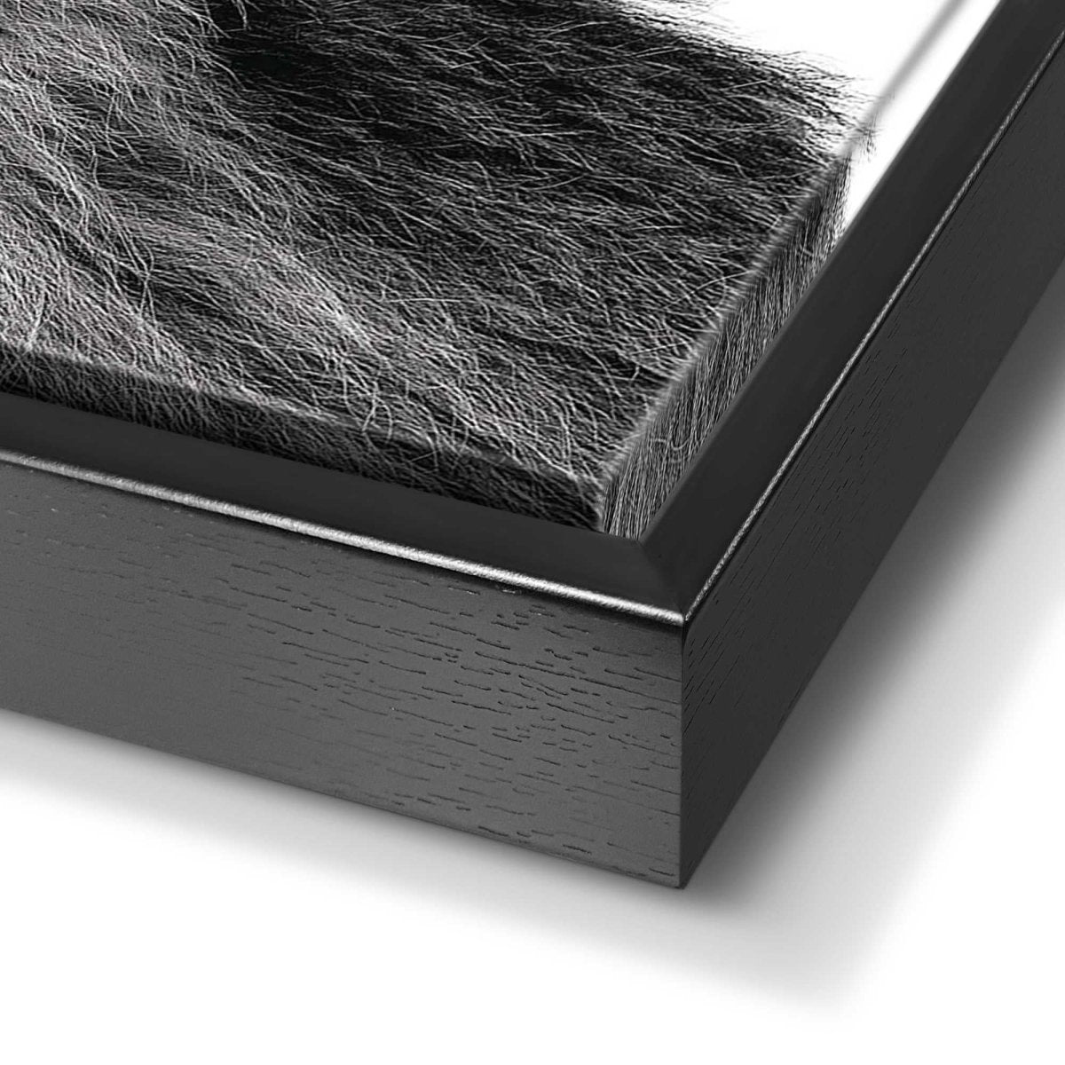 Art Frame Leeuwenkop 118x70 - Reinders