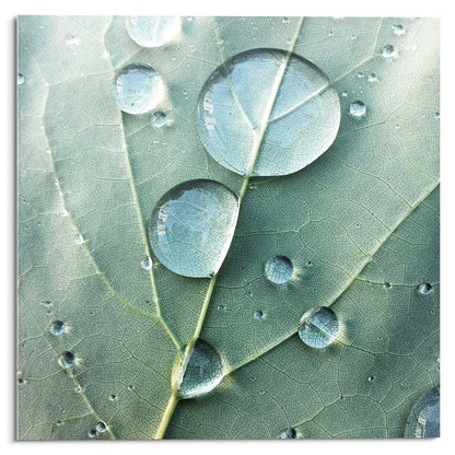 Glasschilderij Dauwdruppels 30x30 - Reinders