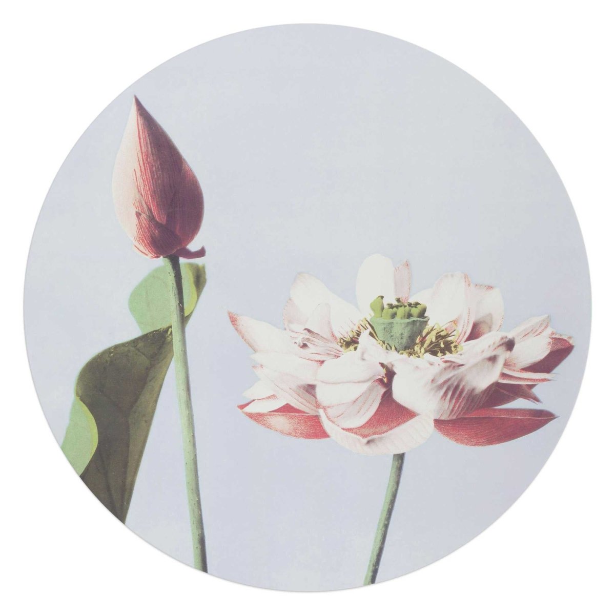Glasschilderij Elegante Bloem 70 Rond - Reinders