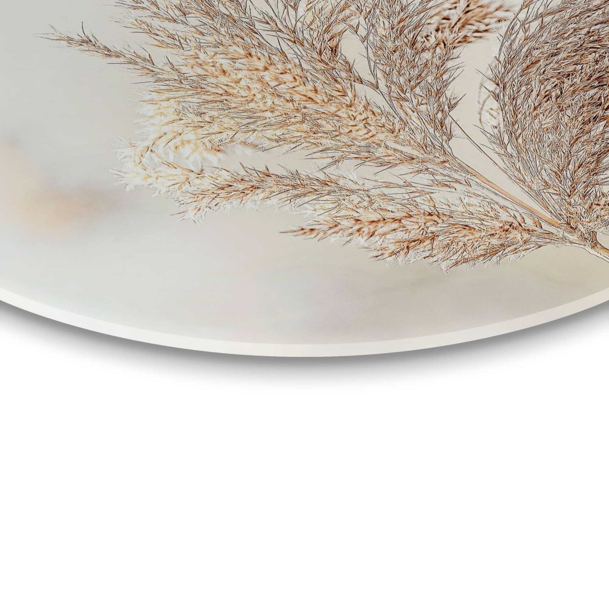 Glasschilderij Pluim in de wind 50 Rond - Reinders