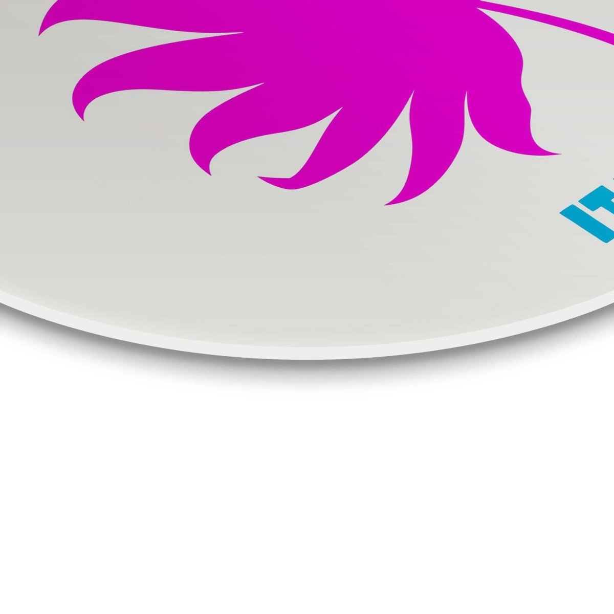 Glasschilderij Sardinië 70 Rond - Reinders