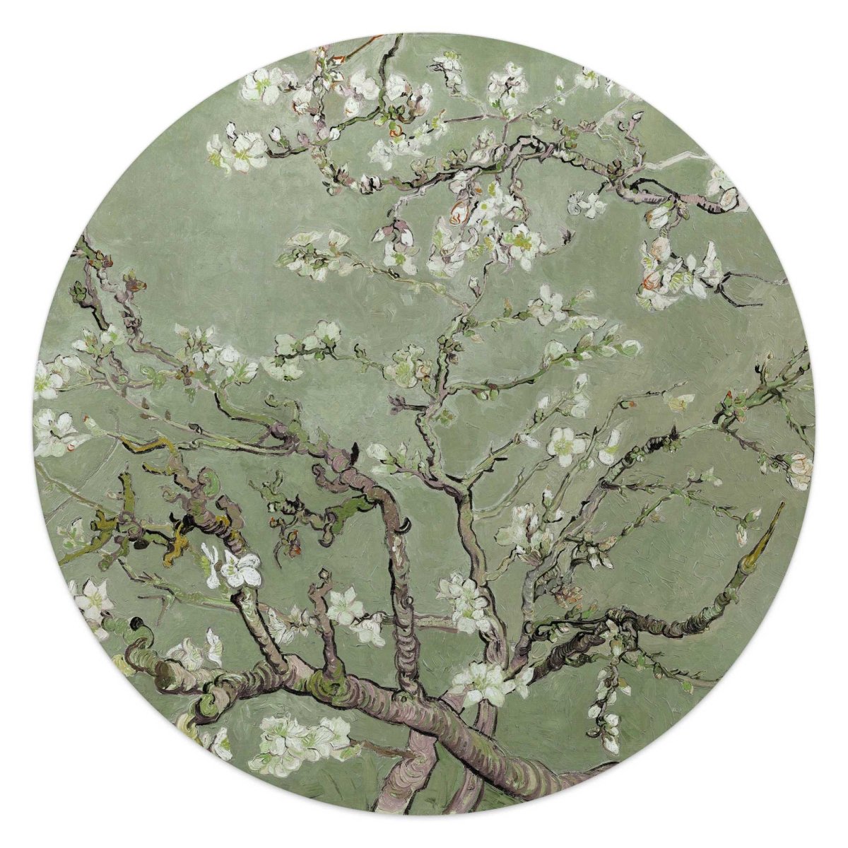 Glasschilderij Van Gogh amandelbloesem 50 Rond - Reinders