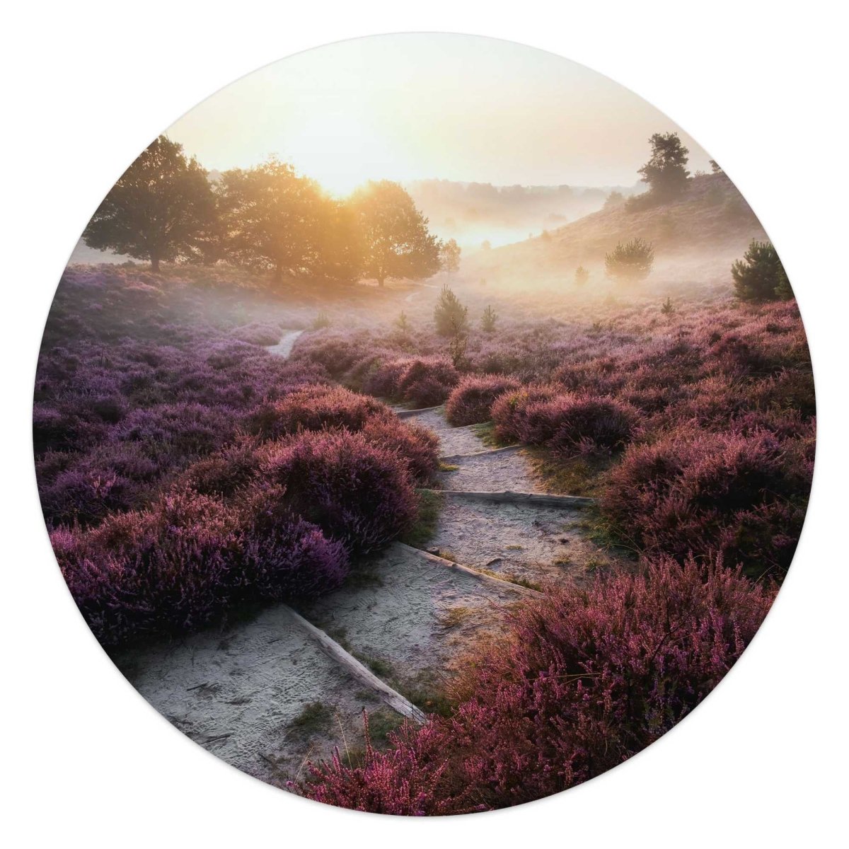 Glasschilderij Wandelpad langs de heide 50 Rond - Reinders
