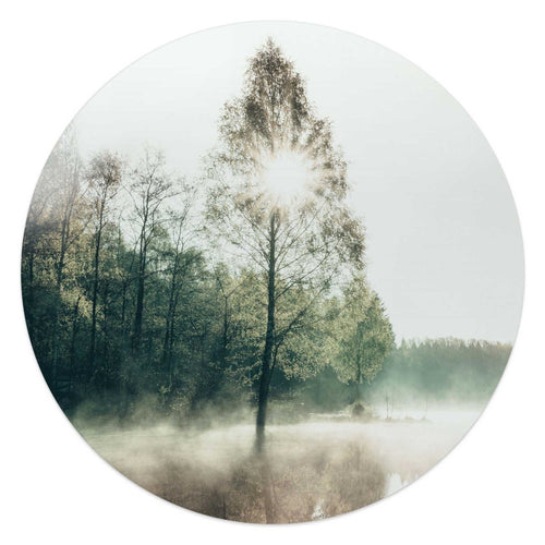 Glasbild Sonne durch den Baum 50 Rund