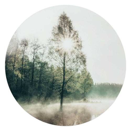 Glasbild Sonne durch die Baum 70 Rund