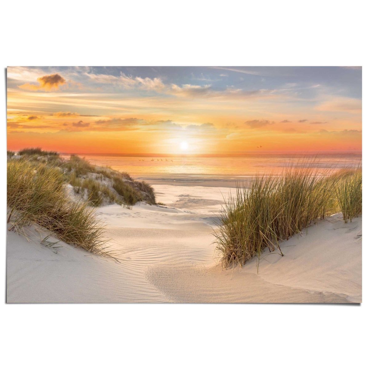 Poster Beautiful Dunes 61x91,5 - Reinders