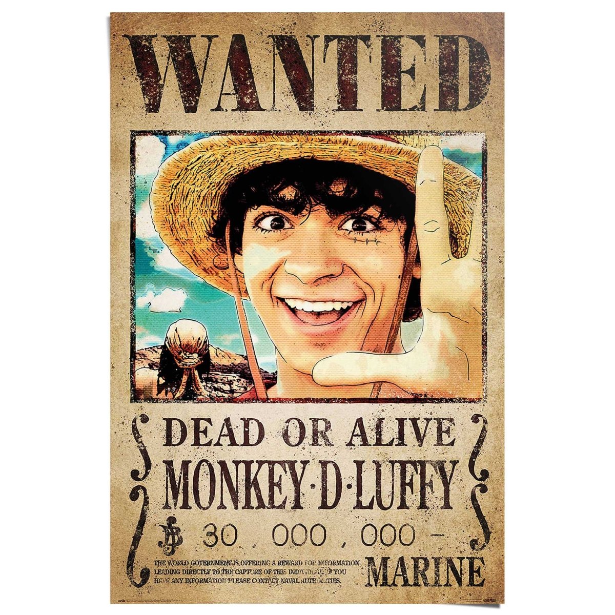 Poster One Piece - wanted monkey d. Luffy 91,5x61 | Reinders – Reindersshop
