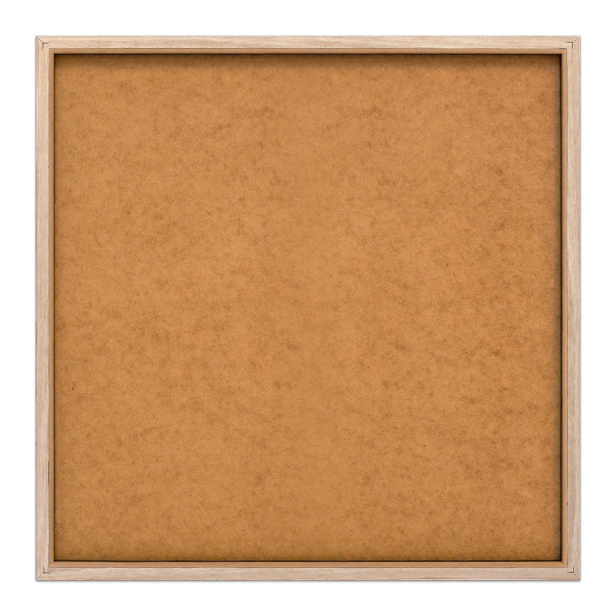 Schilderij Botanische Papegaai 50x50 - Slim Frame - Reinders