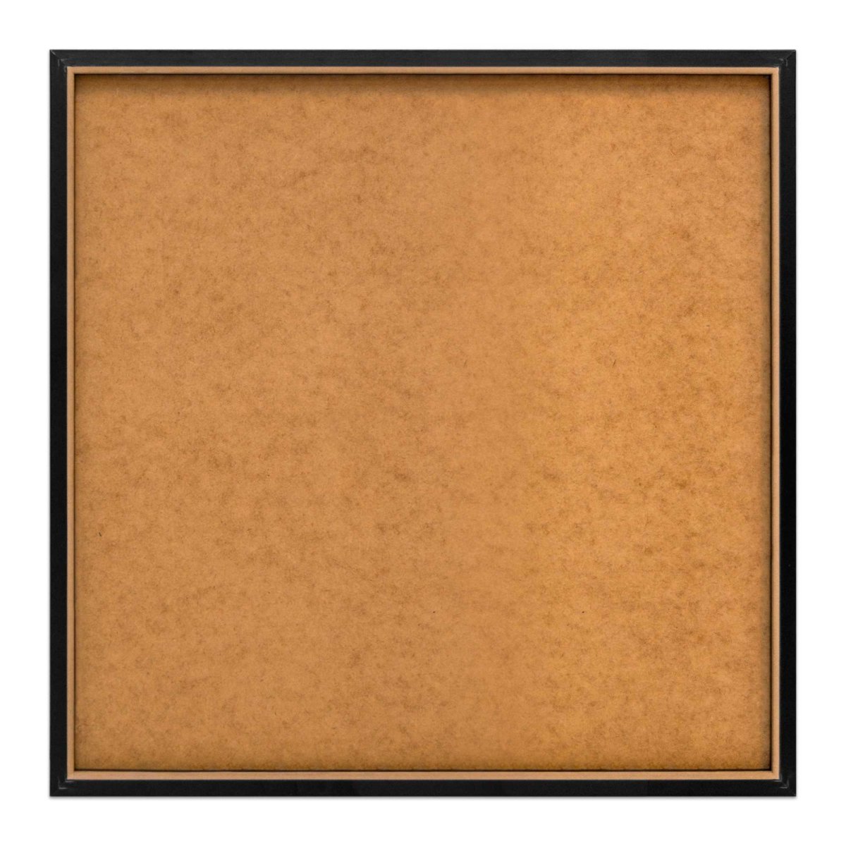 Schilderij De Lezende Leeuw 50x50 - Slim Frame - Reinders