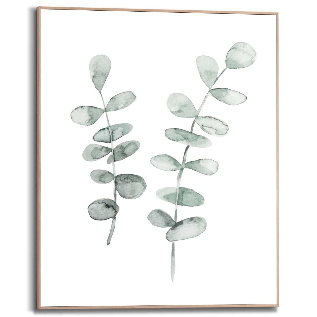 Schilderij Eucalyptus 50x40 - Reinders