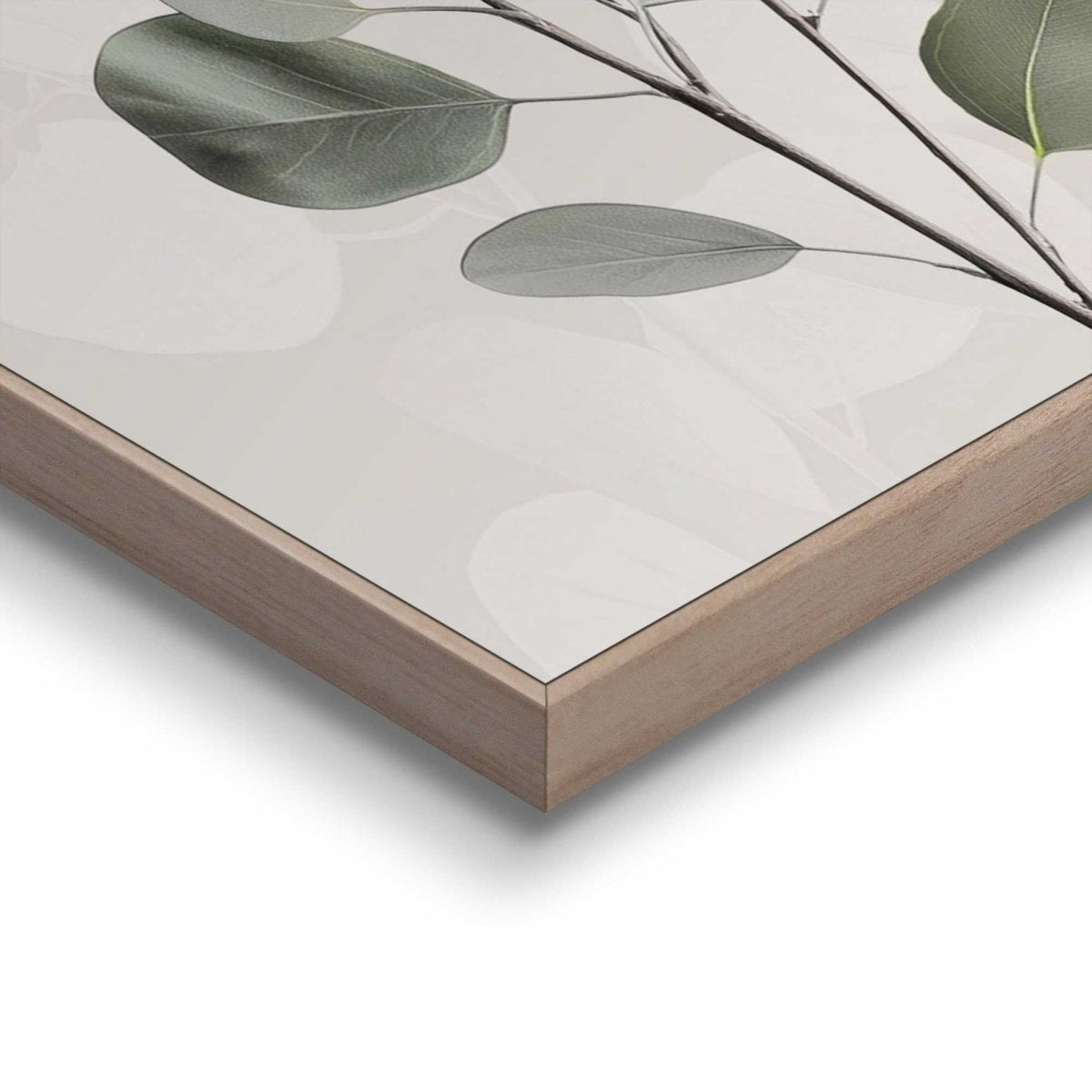 Schilderij Eucalyptus tak 30x20 - Reinders