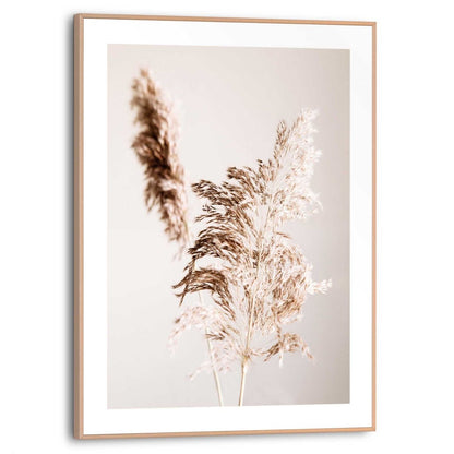 Schilderij Pampas 40x30 - Reinders