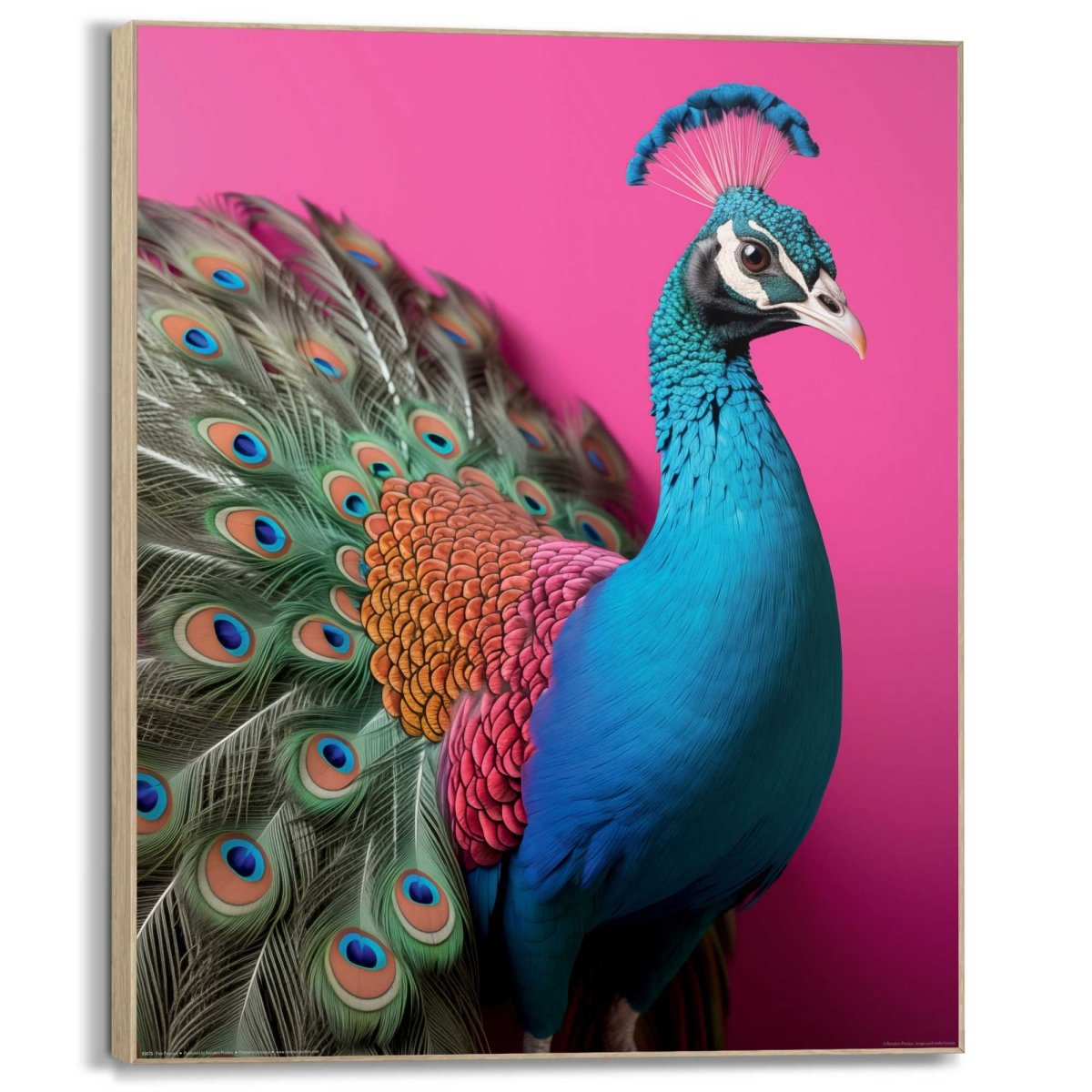 Schilderij Pink Peacock 40x50 - Reinders