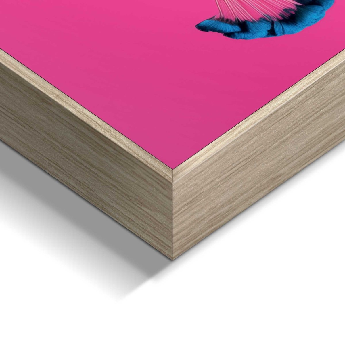 Schilderij Pink Peacock 40x50 - Reinders