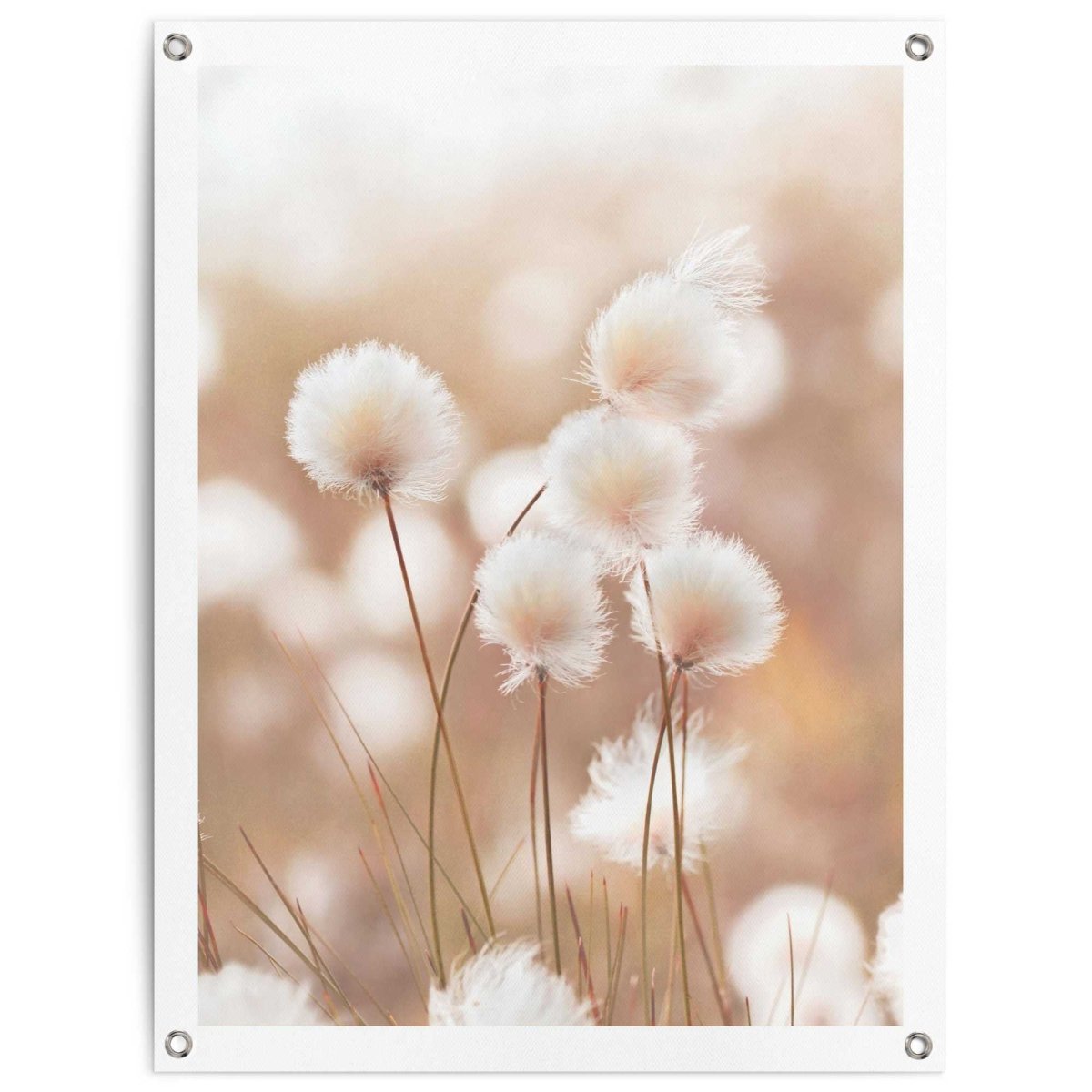 Tuinposter Cotton Field 80x60 - Reinders