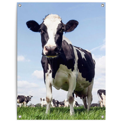 Tuinposter Dutch Cow 80x60 - Reinders