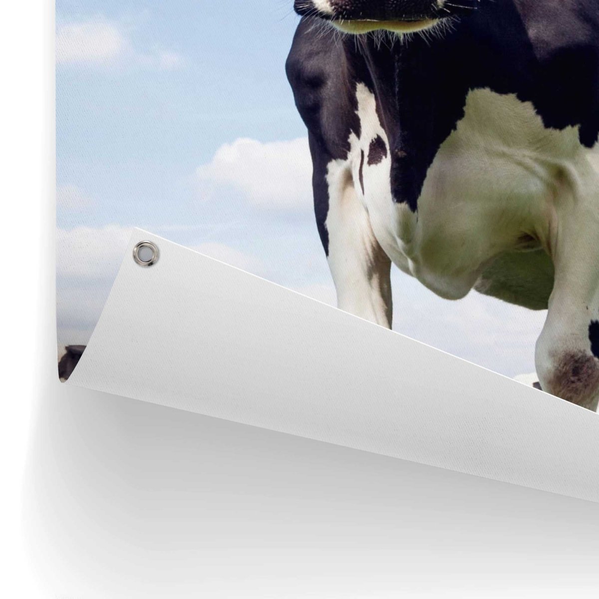 Tuinposter Dutch Cow 80x60 - Reinders