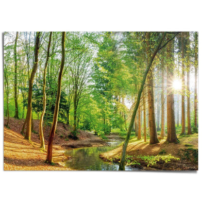 XXL Poster Bos in de zon 100x140 - Reinders