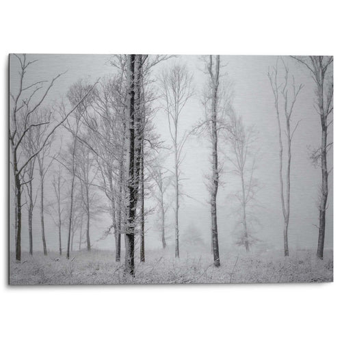 Alu-Dibond Winter Wald 50x70