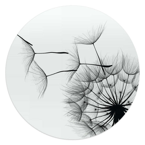 Glasbild Pusteblume 50 Rund