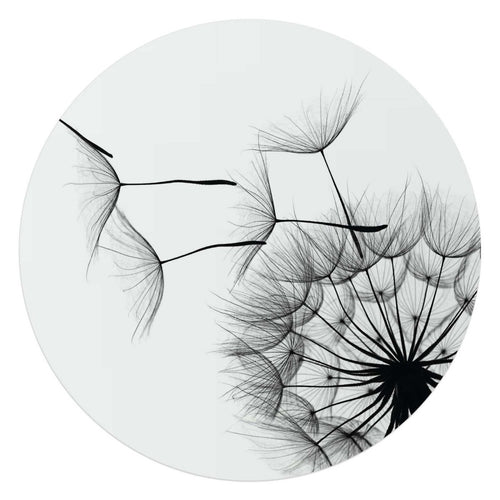 Glasbild Pusteblume 70 Rund