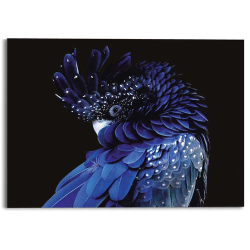 Plexiglasbild Blauer Papagei 50x70