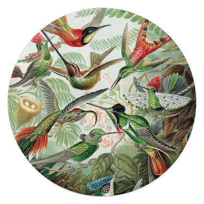 Plexiglasschilderij Hummingbirds 50 Rond - Reinders