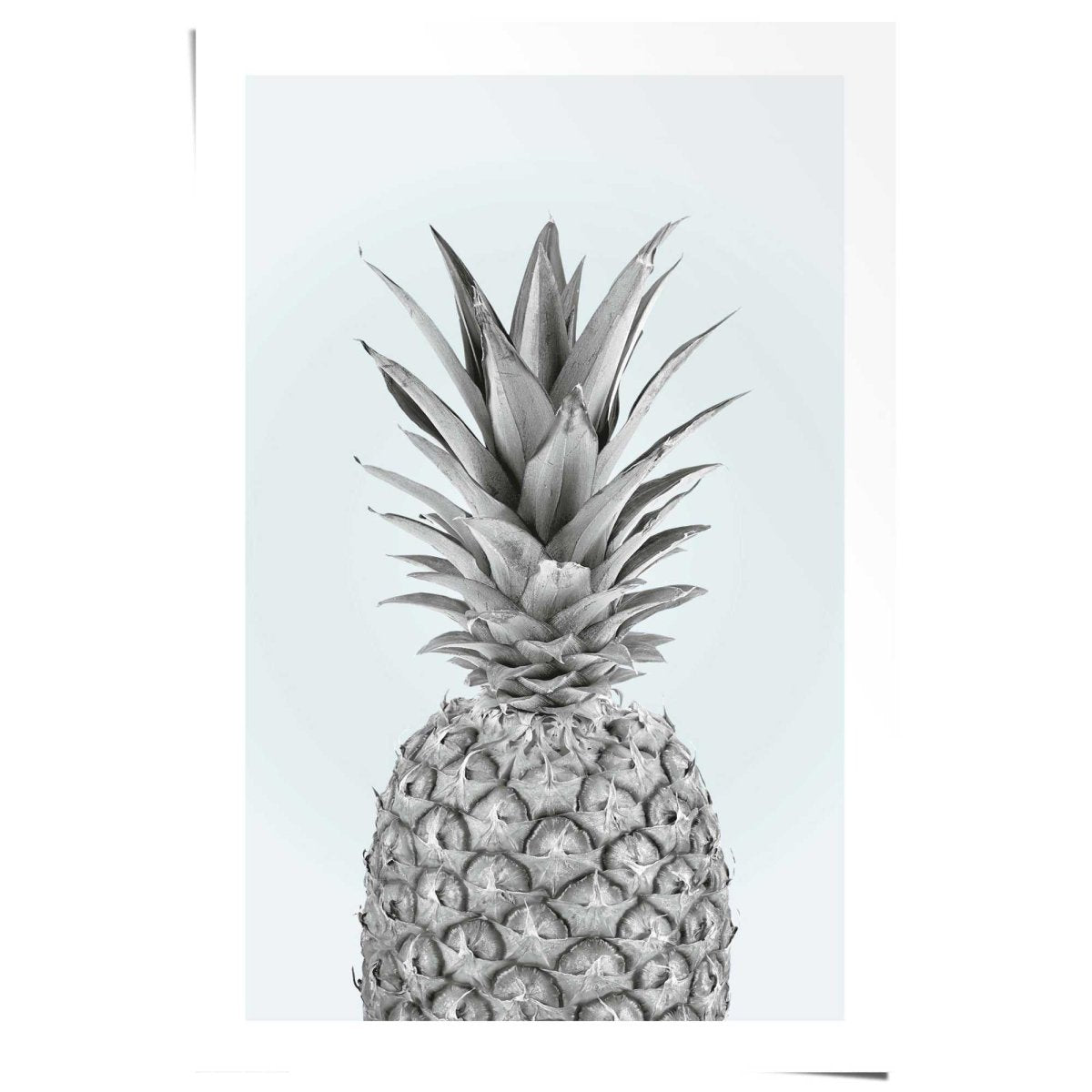 Poster Ananas 91,5x61 - Reinders