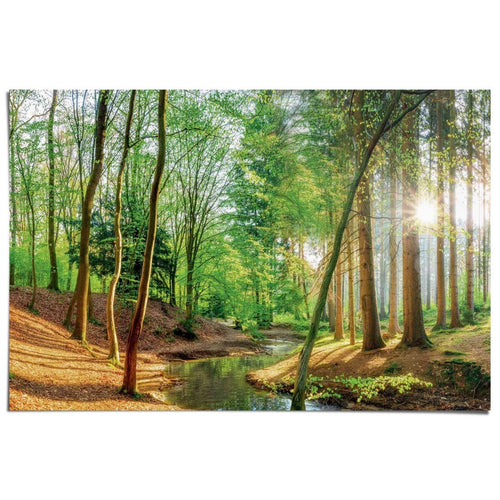 Poster Wald in der Sonne 61x91,5