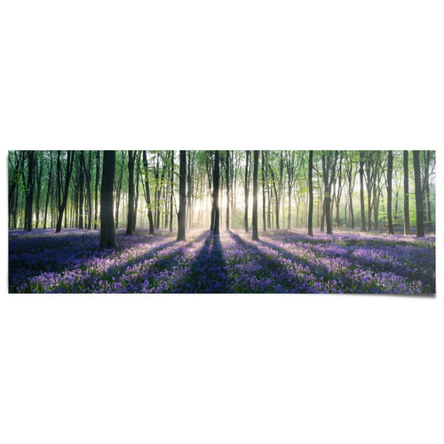 Poster Glockenblumen im Wald 53x158