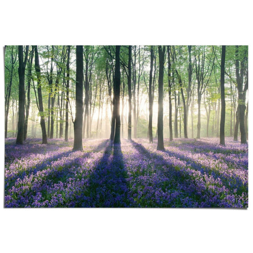 Poster Enchanted forest 61x91,5