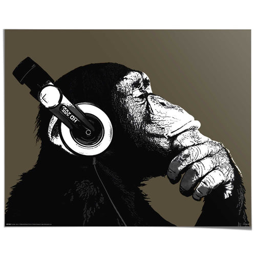 Poster The Chimp - stereo 40x50