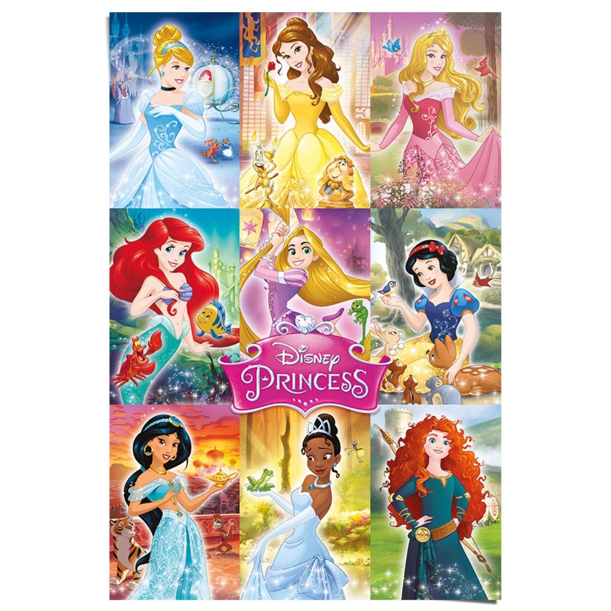 Poster Disney Princess 91,5x61 - Reinders