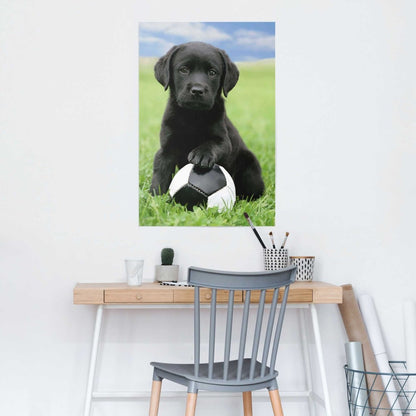 Poster Hond labrador voetbal 91,5x61 - Reinders