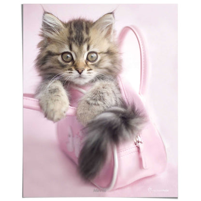 Poster Kitten 50x40 - Reinders