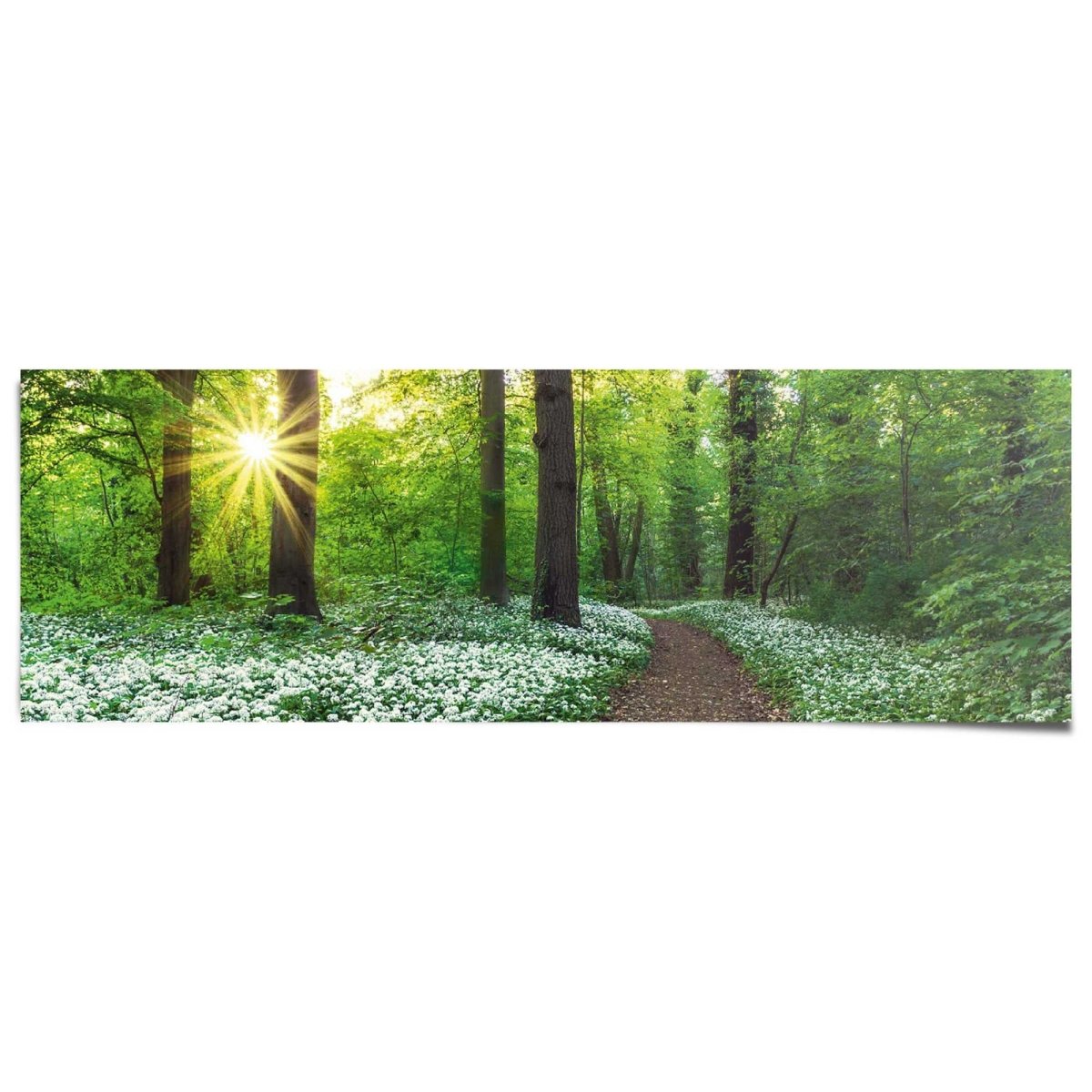 Poster Lentebos 53x158 - Reinders