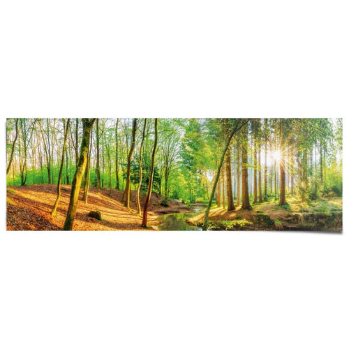 Poster Sonniger Wald  53x158